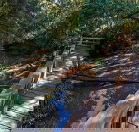 Ms Kellys Walking Track - St Kilda Accommodation