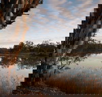 Murray-Kulkyne Regional Park - St Kilda Accommodation