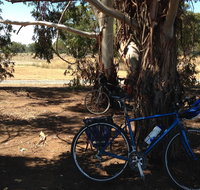 Murchison Rail Trail - St Kilda Accommodation