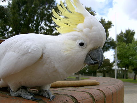 Myuna Farm - St Kilda Accommodation 1