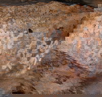 Ngamadjidj Shelter - Wartook Valley - St Kilda Accommodation