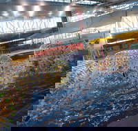 Oasis Regional Aquatic Centre - St Kilda Accommodation