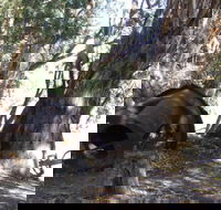 PS Providence historic site - St Kilda Accommodation