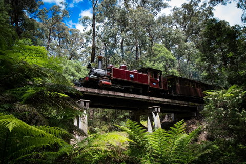 Puffing Billy Railway - St Kilda Accommodation 0