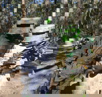 Rapid Fire Paintball - St Kilda Accommodation