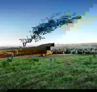 Ravensbourne National Park - St Kilda Accommodation