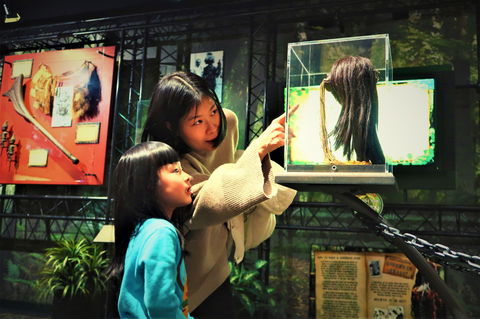 Ripleys Believe It Or Not! Odditorium - St Kilda Accommodation 2