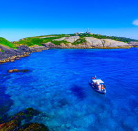 Snorkelling Montague Island - St Kilda Accommodation