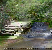 The Pioneer Valley and Eungella National Park - St Kilda Accommodation