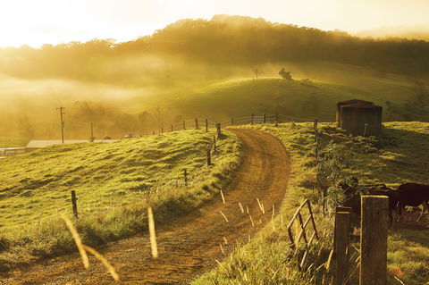 The Pioneer Valley And Eungella National Park - St Kilda Accommodation 2