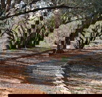 Warrego Floodplain walking track - St Kilda Accommodation
