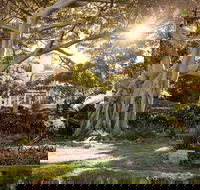 Wendy Whiteley's Secret Garden - St Kilda Accommodation