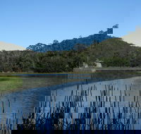 Yalwal - St Kilda Accommodation