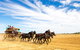 14 Day Gems Of The Outback - thumb 0