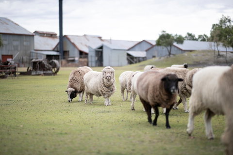 14 Day Gems Of The Outback - St Kilda Accommodation 2