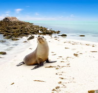 Abrolhos Islands - St Kilda Accommodation