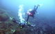 Abrolhos Islands - thumb 2