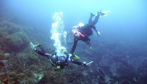 Abrolhos Islands - St Kilda Accommodation 2