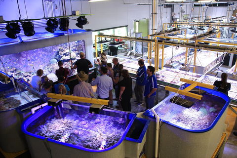 Australian Institute Of Marine Science - St Kilda Accommodation 0