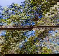 Bribie Island Bicentennial Trails - St Kilda Accommodation