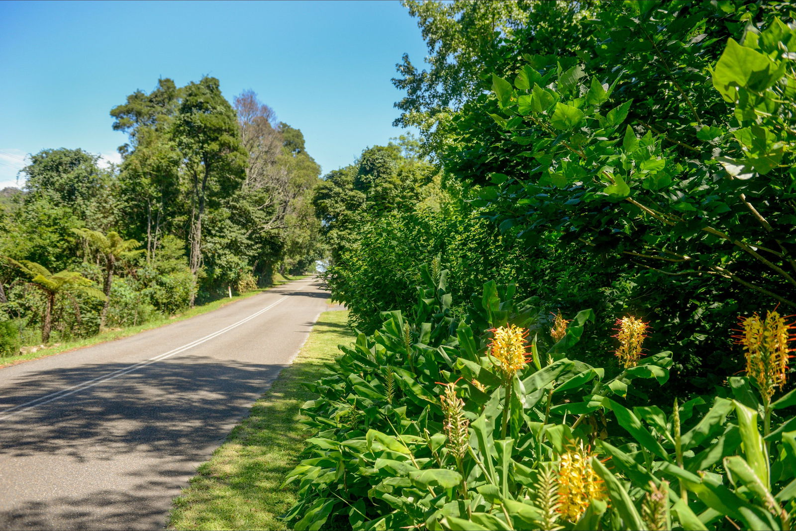 Broughton Vale NSW St Kilda Accommodation