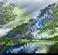 Gold Coast Regional Botanic Gardens - St Kilda Accommodation