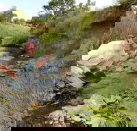 Gold Panning Deep Creek - St Kilda Accommodation