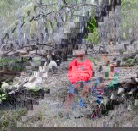 Gunbower Island Forest Drive - St Kilda Accommodation