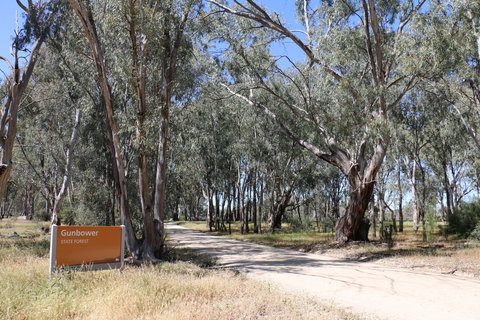 Gunbower Island Forest Drive - St Kilda Accommodation 2