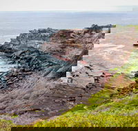 Haycock Point to Barmouth Beach Walking Track - St Kilda Accommodation