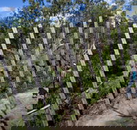 Herring Island Environmental Sculpture Park - St Kilda Accommodation