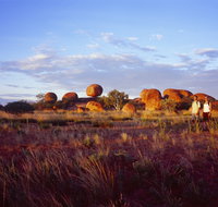 Karlu Karlu / Devils Marbles Conservation Reserve - St Kilda Accommodation