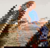 Katherine Outback Experience - Horse Riding Experience - St Kilda Accommodation