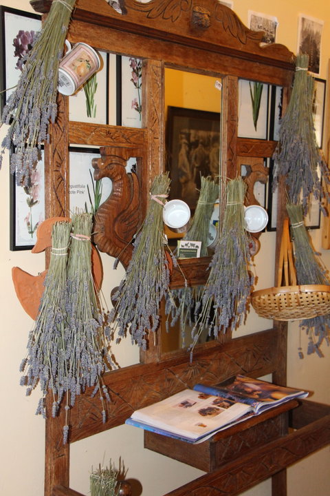Lavender House In Railway Park - St Kilda Accommodation 1