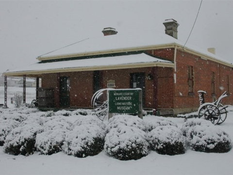 Lavender House In Railway Park - St Kilda Accommodation 2