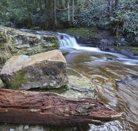 Liffey Falls Reserve - St Kilda Accommodation