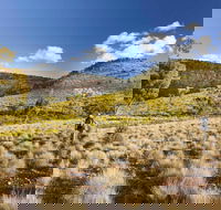 Little Mountain Walking Track - St Kilda Accommodation