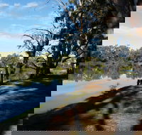Murray River National Park - Katarapko - St Kilda Accommodation