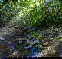 Nambucca Valley - St Kilda Accommodation