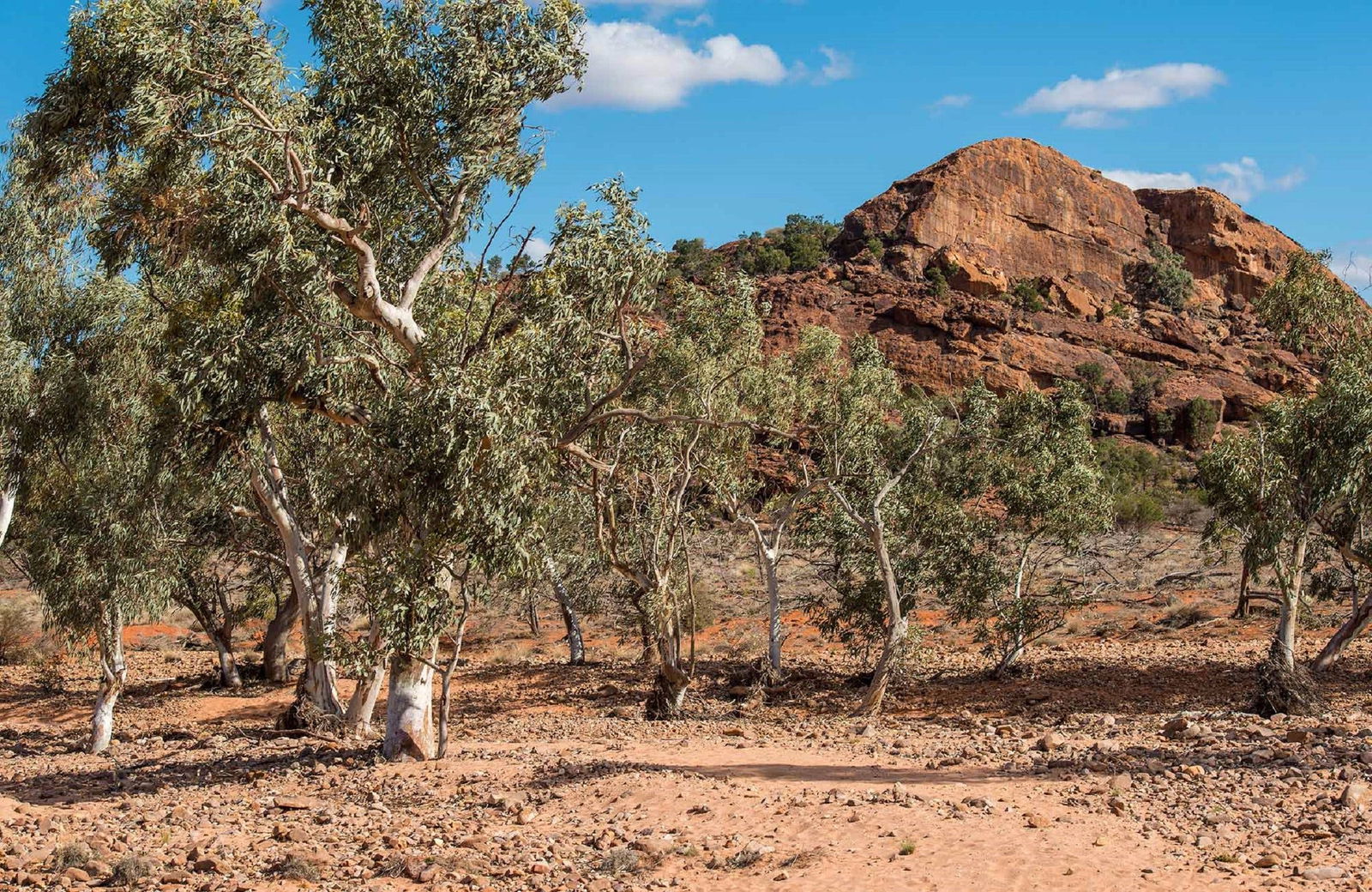 St Kilda Accommodation