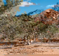 Old Coach Road Drive - St Kilda Accommodation