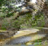 Saltwater National Park - St Kilda Accommodation