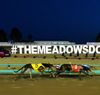 The Meadows - St Kilda Accommodation