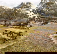 Thredbo River picnic area - St Kilda Accommodation