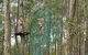 TreeTops Newcastle - thumb 0