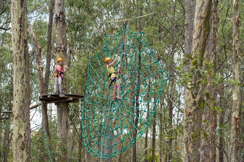 TreeTops Newcastle - St Kilda Accommodation 0