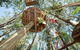 TreeTops Newcastle - thumb 1