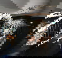 UNE Natural History Museum - St Kilda Accommodation