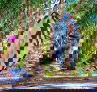 Wagirra Trail and Yindyamarra Sculpture Walk - St Kilda Accommodation