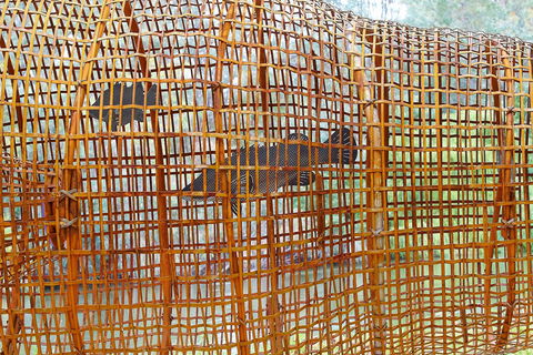 Wagirra Trail And Yindyamarra Sculpture Walk - St Kilda Accommodation 2